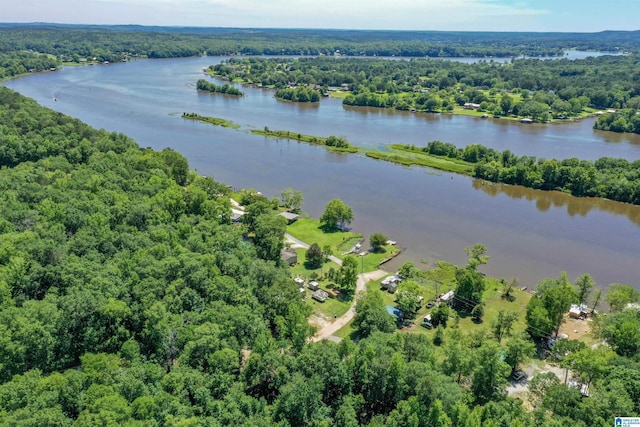 0 Thomas Ln Unit 1, Childersburg, AL 35044