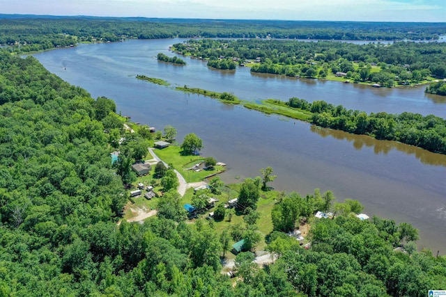 0 Thomas Ln Unit 1, Childersburg, AL 35044