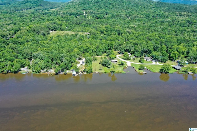 0 Thomas Ln Unit 1, Childersburg, AL 35044