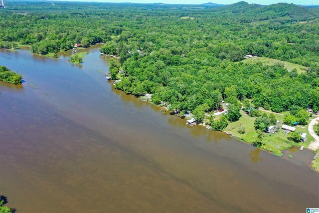 0 Thomas Ln Unit 1, Childersburg, AL 35044