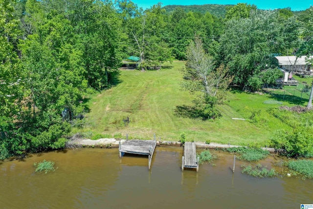 0 Thomas Ln Unit 1, Childersburg, AL 35044