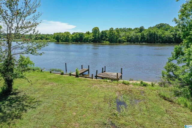 0 Thomas Ln Unit 1, Childersburg, AL 35044