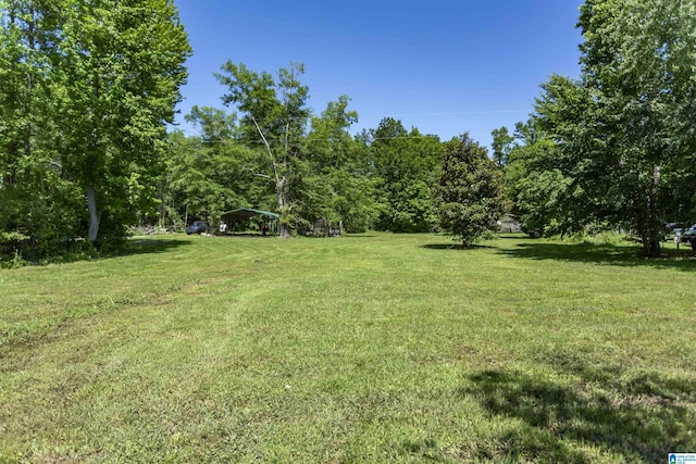 0 Thomas Ln Unit 1, Childersburg, AL 35044