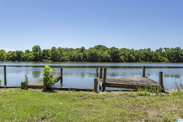 0 Thomas Ln Unit 1, Childersburg, AL 35044