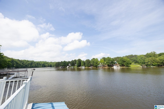 967 Wright Way Dr, Wedowee, AL 36278 - dock area with a water view and a view of trees