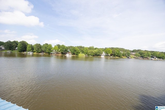 967 Wright Way Dr, Wedowee, AL 36278 - water view