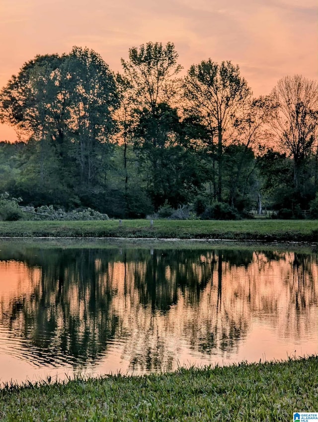 12325 US Highway 411 N, Centre, AL 35960 - water view