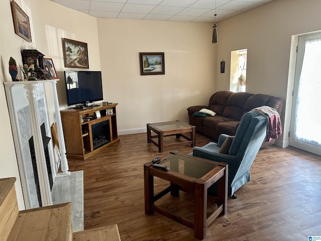 12325 US Highway 411 N, Centre, AL 35960 - living area with a premium fireplace, wood finished floors, healthy amount of natural light, and a drop ceiling