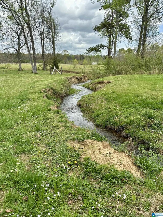12325 US Highway 411 N, Centre, AL 35960 - view of yard