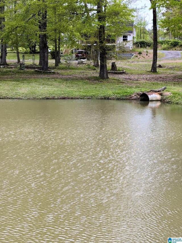 12325 US Highway 411 N, Centre, AL 35960 - water view