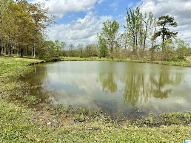 12325 US Highway 411 N, Centre, AL 35960 - water view with a heavily wooded area