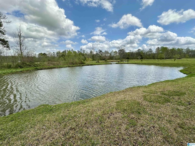 12325 US Highway 411 N, Centre, AL 35960 - water view