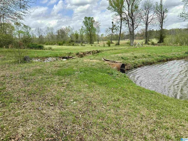 12325 US Highway 411 N, Centre, AL 35960 - view of yard