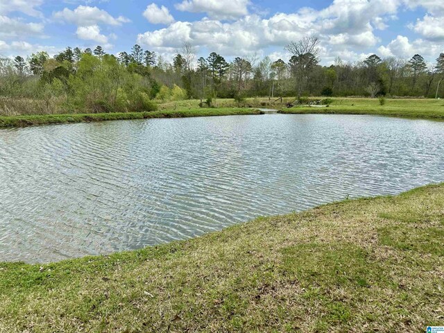 12325 US Highway 411 N, Centre, AL 35960 - water view
