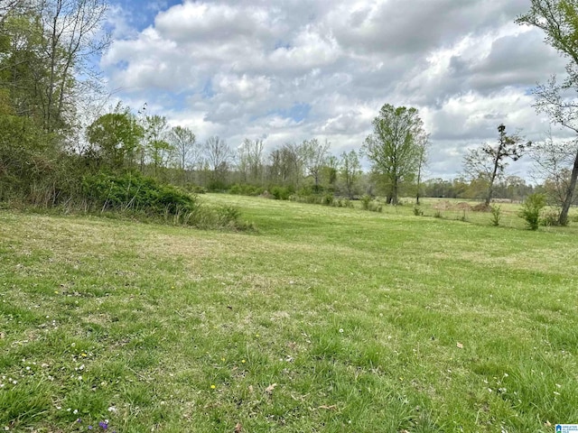 12325 US Highway 411 N, Centre, AL 35960 - view of green lawn