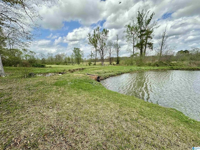 12325 US Highway 411 N, Centre, AL 35960 - water view