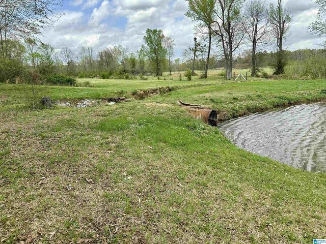 12325 US Highway 411 N, Centre, AL 35960 - view of yard