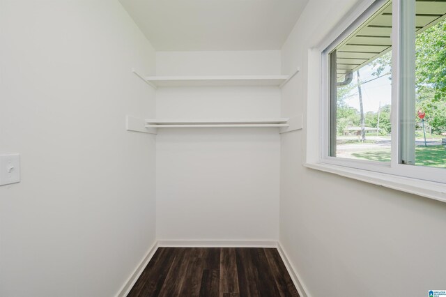 732 Highland Ave, Birmingham, AL 35206 - spacious closet featuring dark wood-style flooring