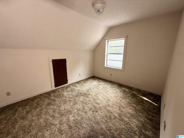 1790 Mount View Rd, Wellington, AL 36279 - additional living space with vaulted ceiling, carpet floors, baseboards, and a textured ceiling