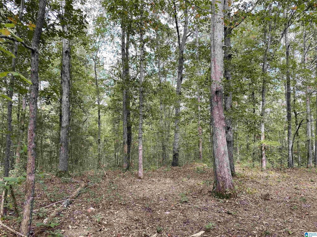 LOT6 Pineywoods Dr Lot # 6, Wedowee, AL 36278