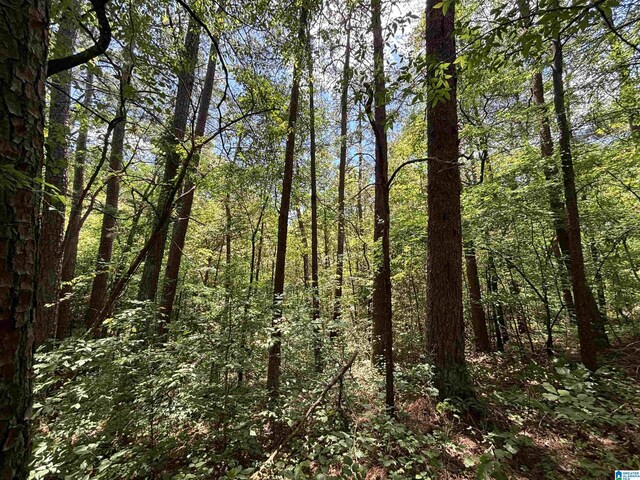 7454 Narrows Rd Unit 3.29/-, Ac, Pinson, AL 35126