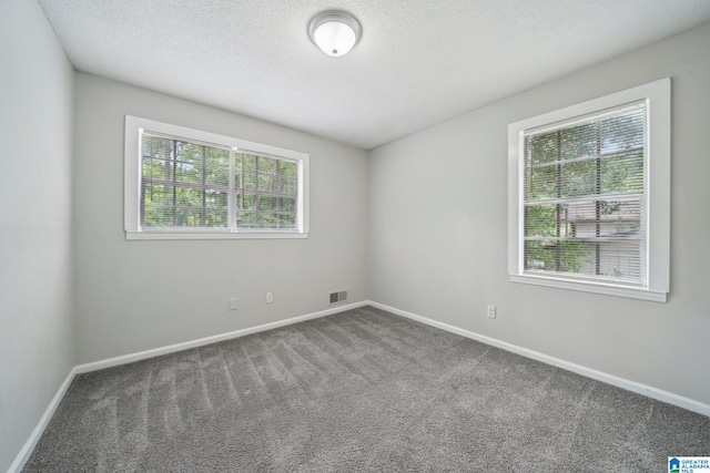 1716 Nancy Ln, Center Point, AL 35215 - carpeted spare room featuring baseboards and a textured ceiling