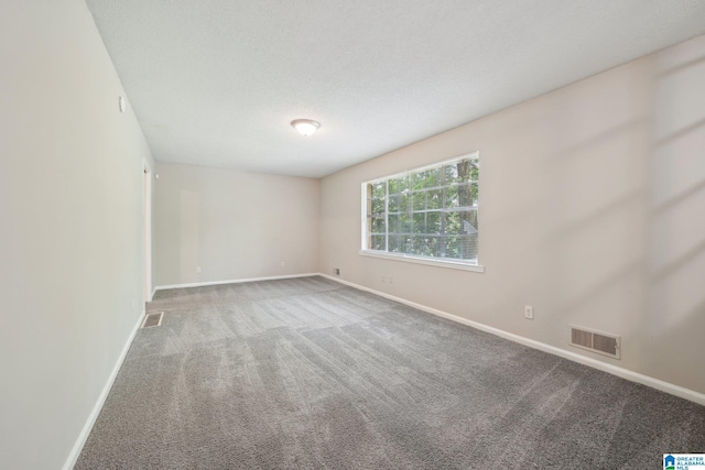 1716 Nancy Ln, Center Point, AL 35215 - empty room with baseboards, carpet flooring, and a textured ceiling