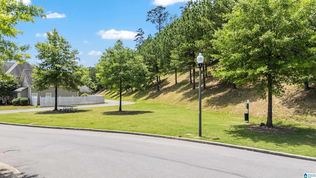 1517 Laurens St, Birmingham, AL 35242 - view of community