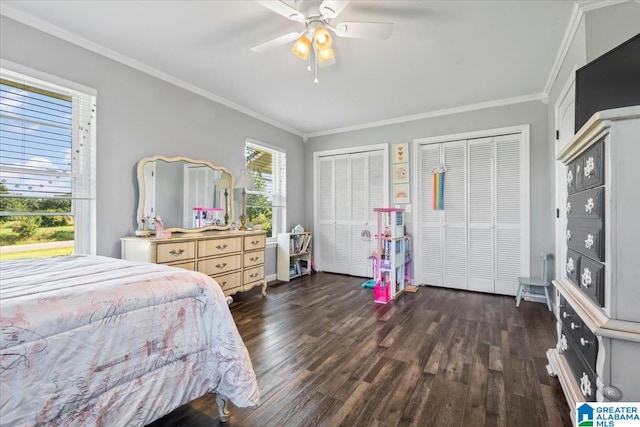 2523 County Road 222, Cullman, AL 35057 - bedroom with dark wood-type flooring, two closets, crown molding, and ceiling fan