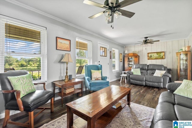 2523 County Road 222, Cullman, AL 35057 - living room with a ceiling fan, crown molding, wood finished floors, and baseboards