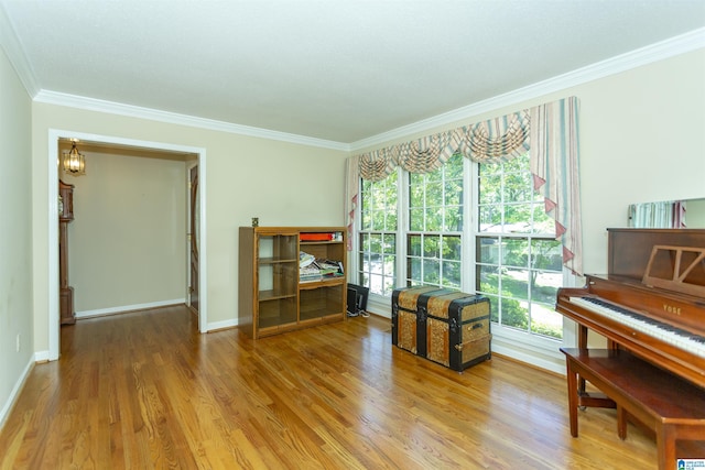 3300 Shetland Trce, Birmingham, AL 35242 - office area with crown molding, light wood-type flooring, and baseboards