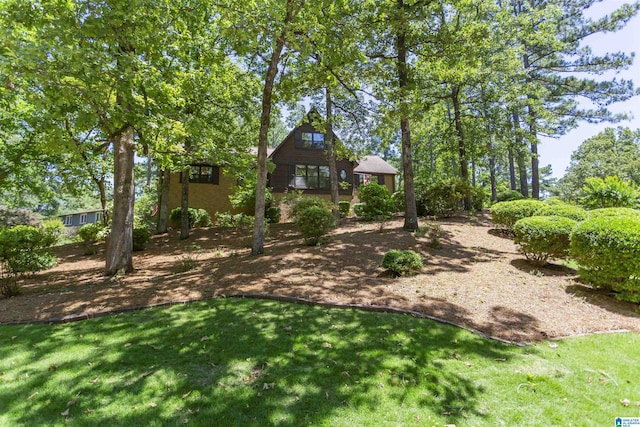3300 Shetland Trce, Birmingham, AL 35242 - view of green lawn
