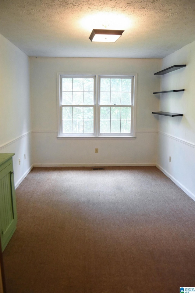 2301 Hathaway Heights Rd, Anniston, AL 36207 - spare room featuring plenty of natural light, a textured ceiling, carpet flooring, and baseboards