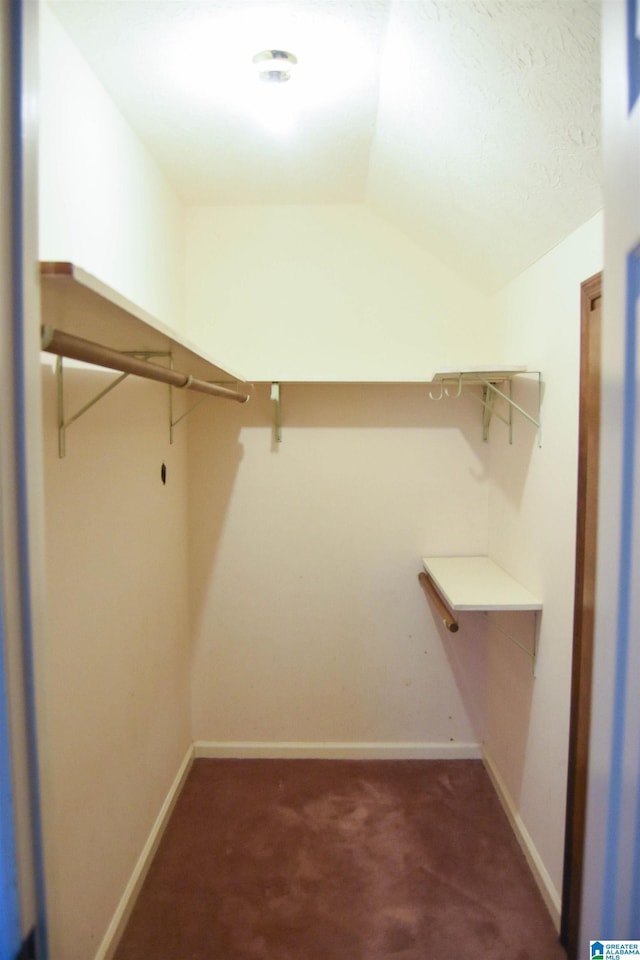 2301 Hathaway Heights Rd, Anniston, AL 36207 - spacious closet featuring carpet and vaulted ceiling
