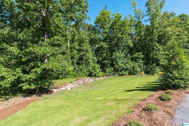 3 Troon, Birmingham, AL 35242 - view of grassy yard