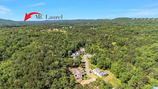 3 Troon, Birmingham, AL 35242 - aerial view of a heavily wooded area
