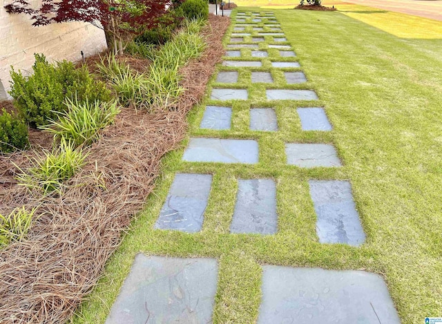 3 Troon, Birmingham, AL 35242 - view of green lawn
