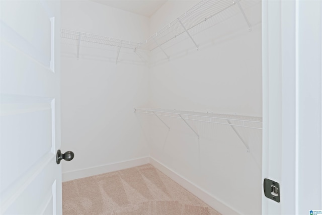 149 Shiloh Creek Dr, Calera, AL 35040 - spacious closet featuring carpet