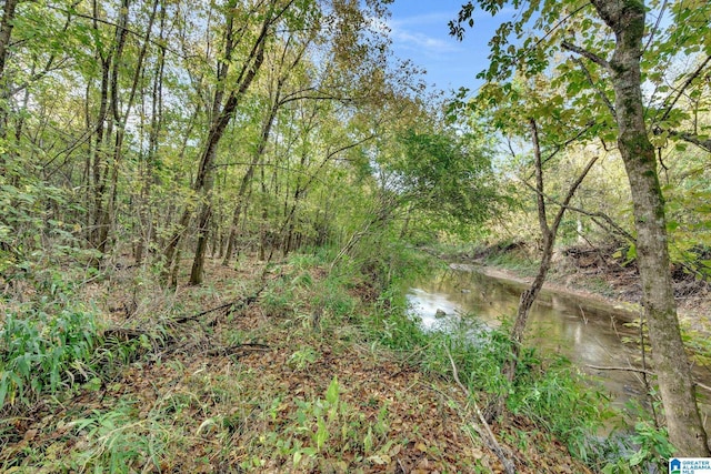 4501 Mcgill Ter Unit 25, Hoover, AL 35226