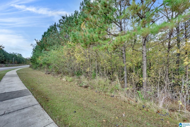 4501 Mcgill Ter Unit 25, Hoover, AL 35226