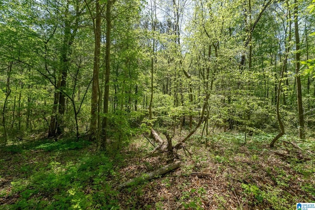 4501 Mcgill Ter Unit 25, Hoover, AL 35226