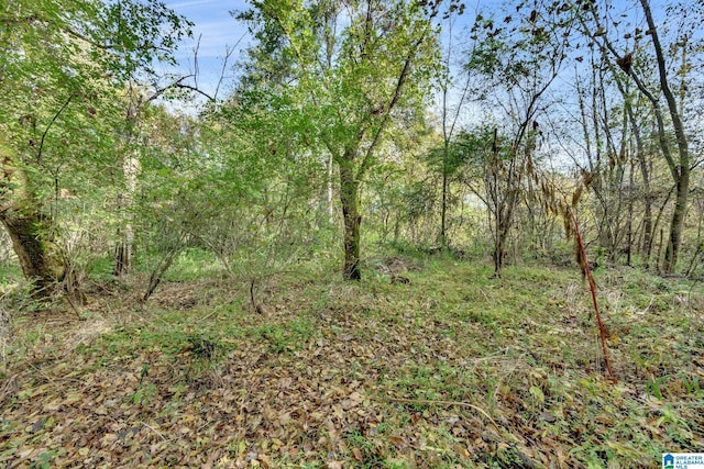 4501 Mcgill Ter Unit 25, Hoover, AL 35226