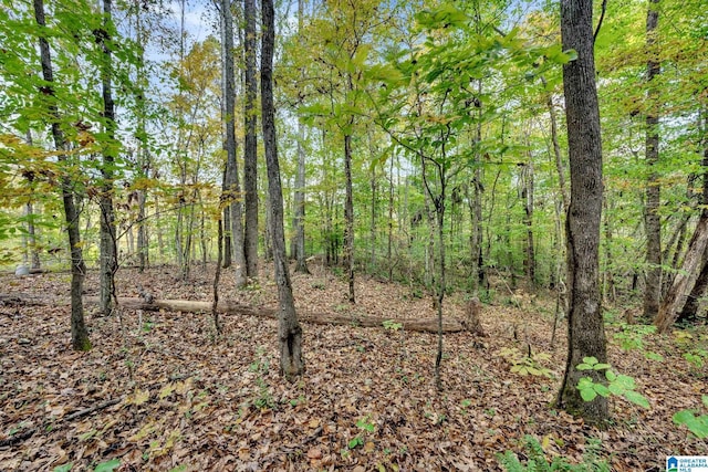 4501 Mcgill Ter Unit 25, Hoover, AL 35226
