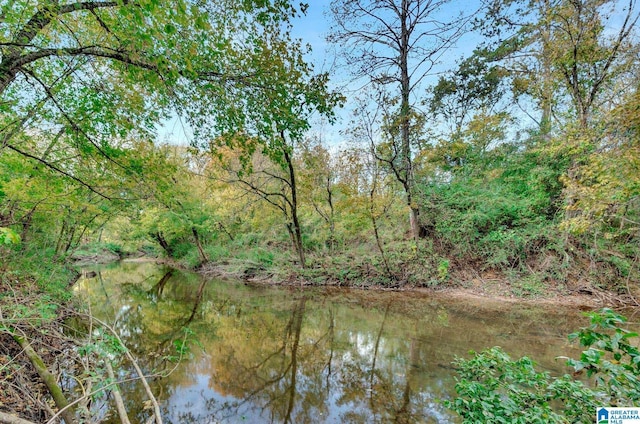 4501 Mcgill Ter Unit 25, Hoover, AL 35226