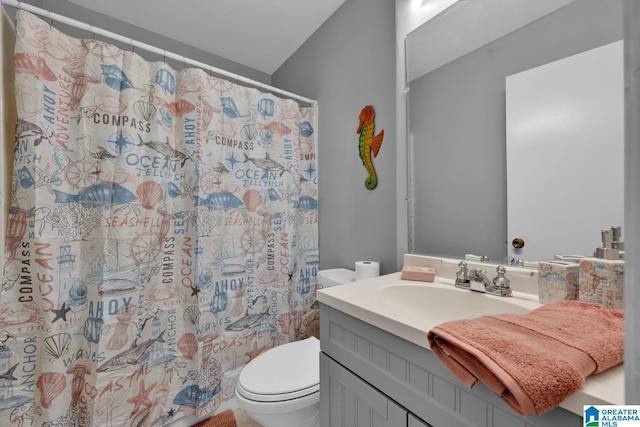 14 County Road 279, Cullman, AL 35057 - bathroom featuring toilet, vanity, and a shower with shower curtain