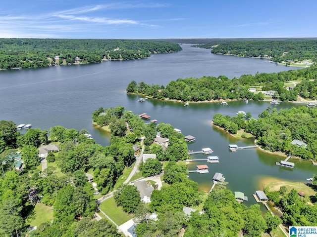 14 County Road 279, Cullman, AL 35057 - bird's eye view of a forest and a large body of water