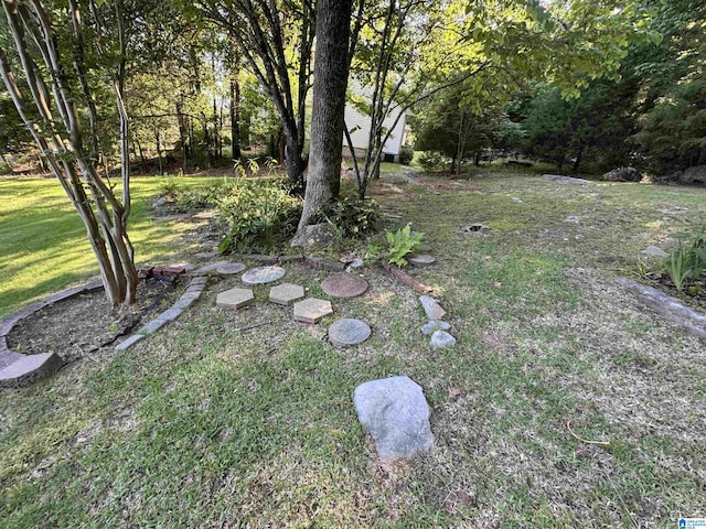 200 Quail Ridge Rd, Oneonta, AL 35121 - view of grassy yard