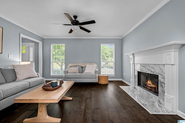 204 Forest Pkwy, Alabaster, AL 35007 - living room with a premium fireplace, plenty of natural light, dark wood-style floors, ceiling fan, and ornamental molding