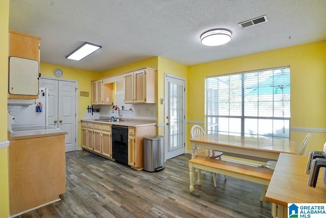 1937 Riva Ridge Rd, Helena, AL 35080 - kitchen with a sink, dark wood finished floors, a textured ceiling, light countertops, and black dishwasher
