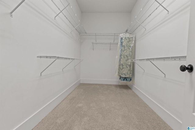 731 Rosebury Rd, Helena, AL 35080 - walk in closet with carpet